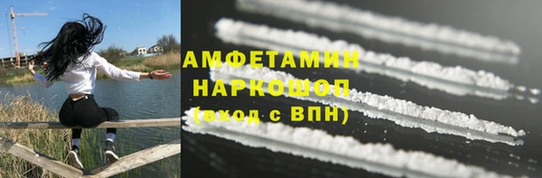 амф Сосновый Бор