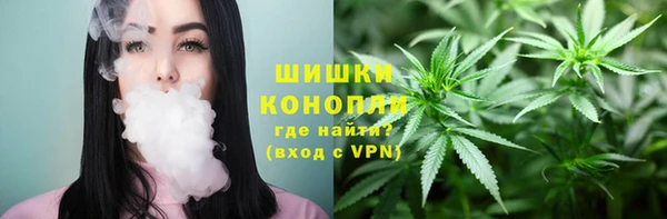 амф Сосновый Бор