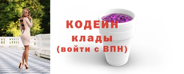 твердый Гусев
