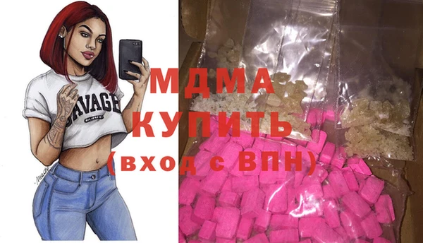 твердый Гусев