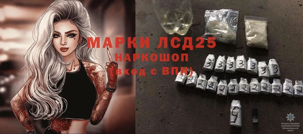 гашик Горняк